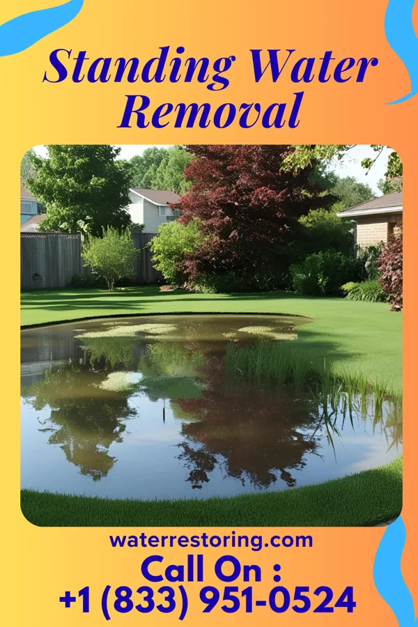 Standing Water Removal in Matador, TX